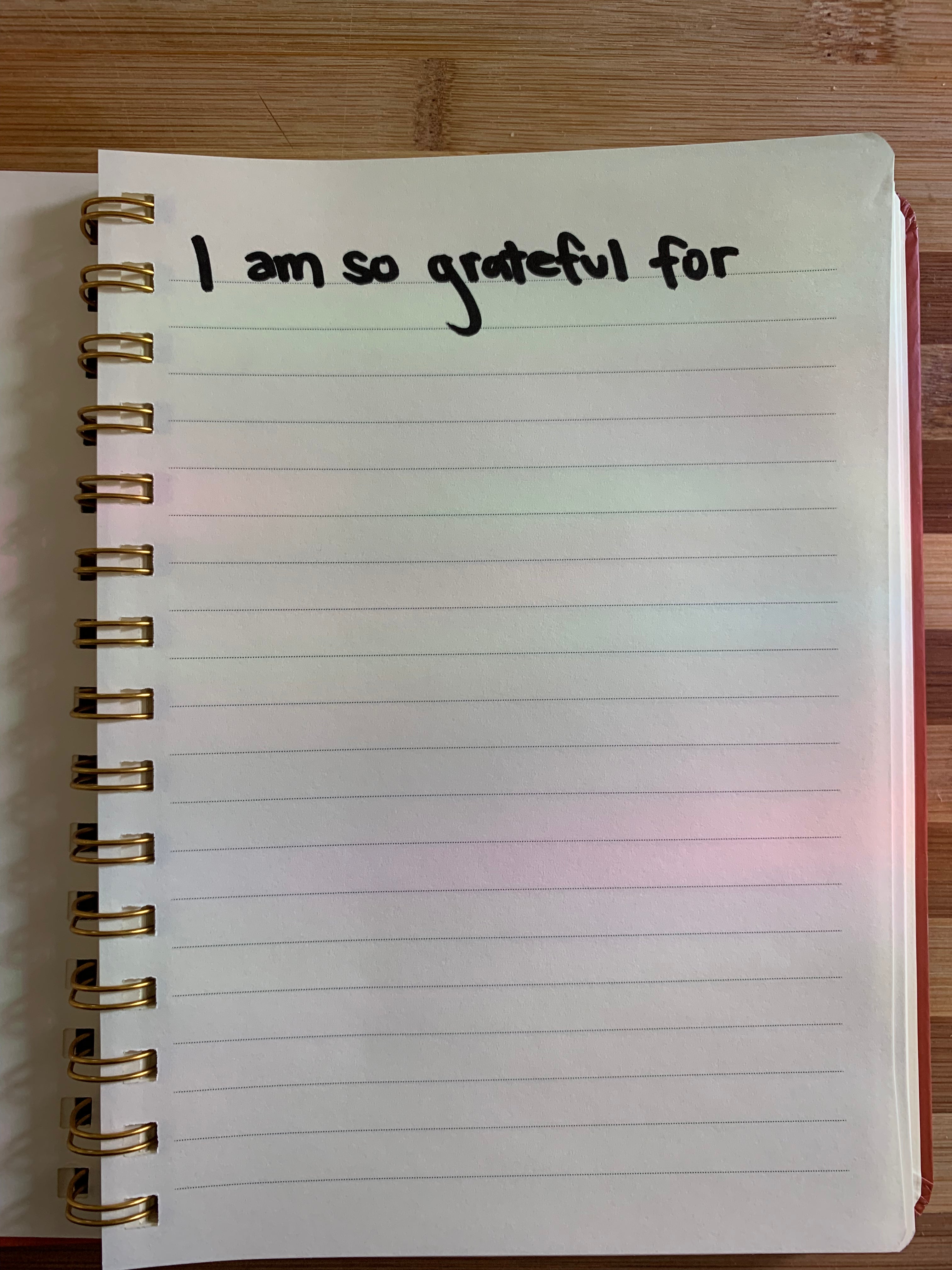 Boundless Visions Journal